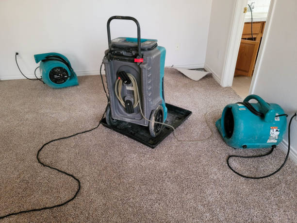  Covington, WA Water damage restoration Pros