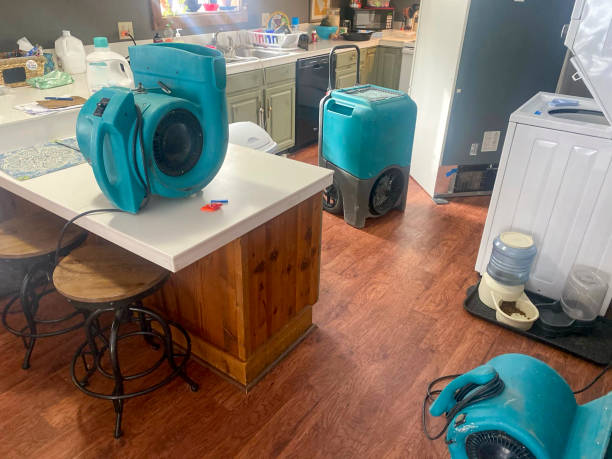 Best 24-hour water damage restoration  in Covington, WA