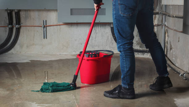 Best Water damage restoration specialists  in Covington, WA