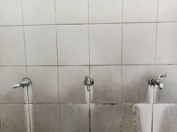 Best Water damage contractors near me  in Covington, WA