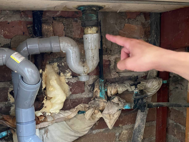 Best Water damage restoration mold remediation  in Covington, WA