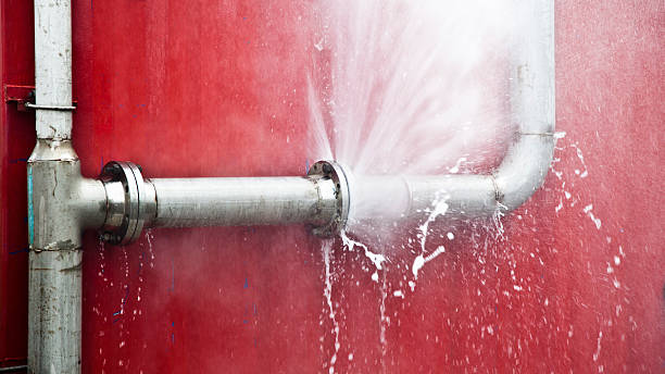 Best Flooded house restoration  in Covington, WA